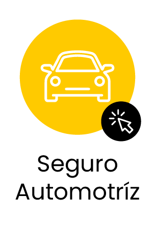 seguroautomotriz